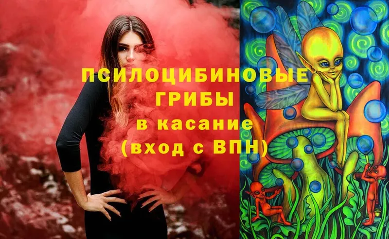 shop формула  Великие Луки  Галлюциногенные грибы Psilocybe 